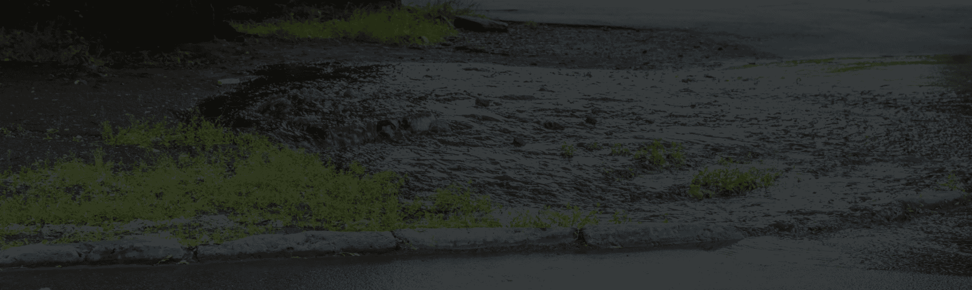 Puddle on a roadside with grass nearby.