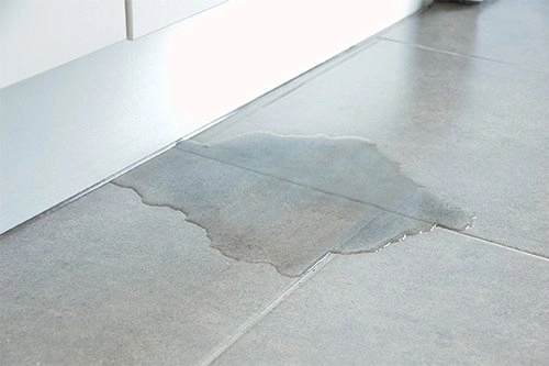Water spill on kitchen floor tiles.