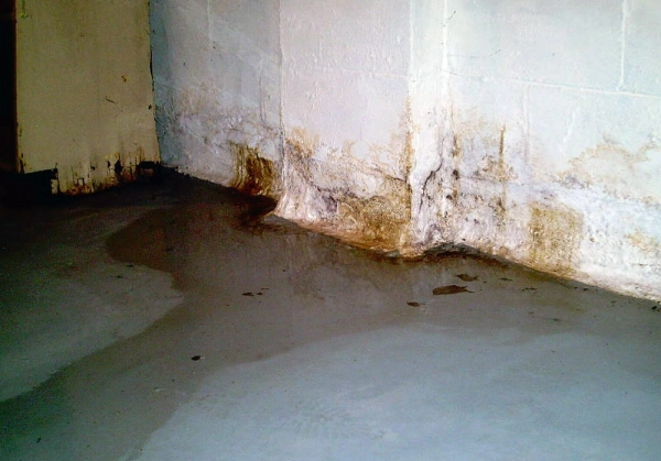 Damp basement corner with water damage.