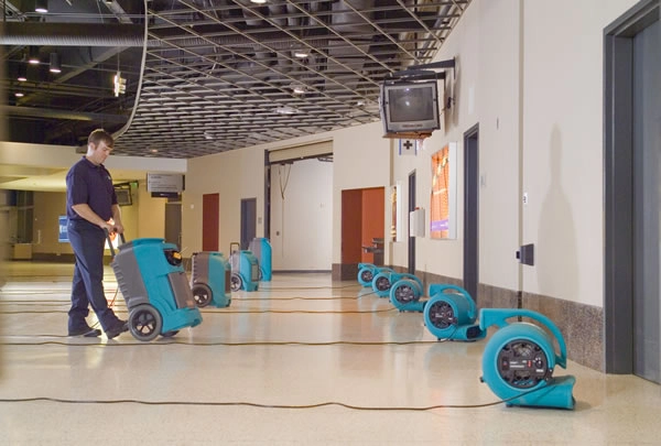 Person operating industrial floor drying equipment.