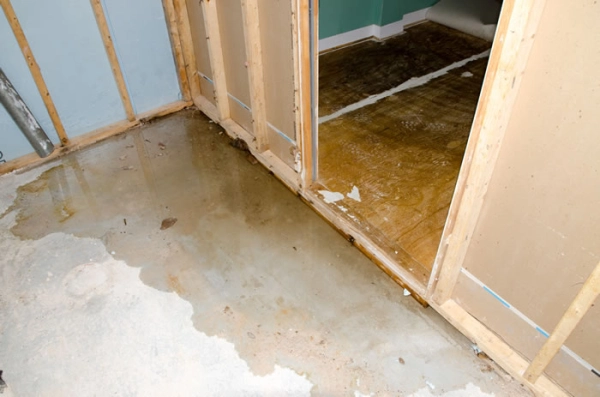 Water damage on wooden floor and walls.