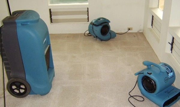 Three blue air movers drying carpet.