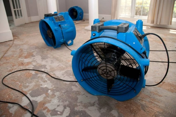 Blue industrial fans on a wooden floor.