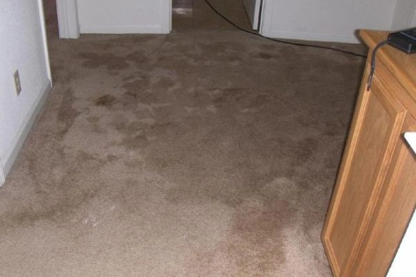 Carpeted hallway with visible stains and furniture.