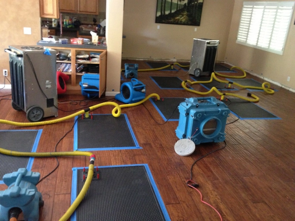 Water damage restoration equipment on wooden floor.
