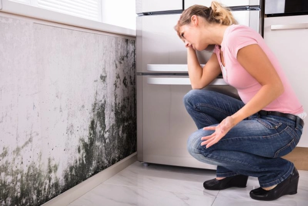 Woman inspecting mold on a wall.