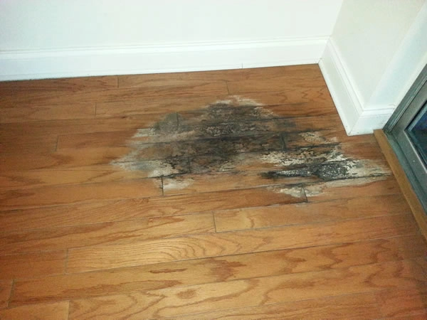 Damaged wooden floor with water stains.