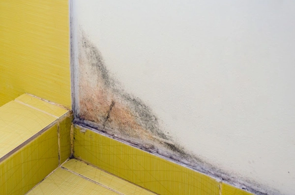 Mold growing on yellow tiled wall corner.