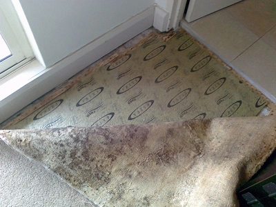 Old carpet peeled back, revealing underlay.