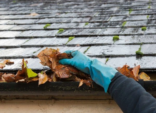 Cleaning leaves from a wet roof gutter.